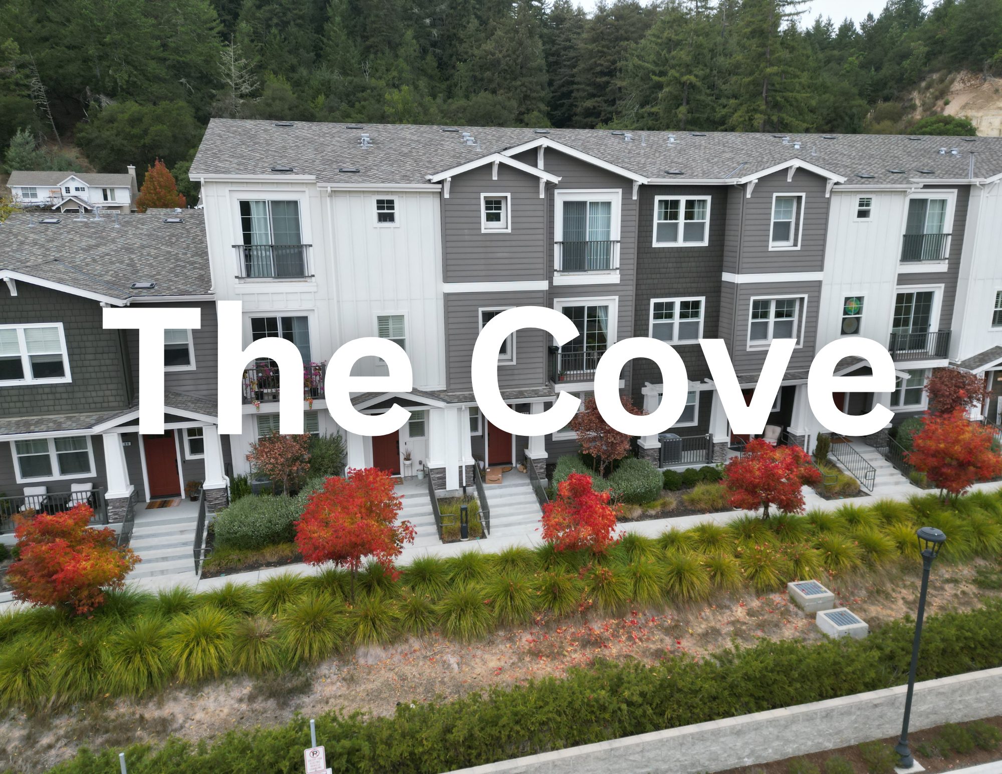 The Cove